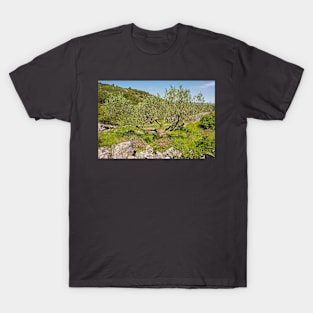 Landscape Near Nerezisca, Brac Island, Croatia T-Shirt